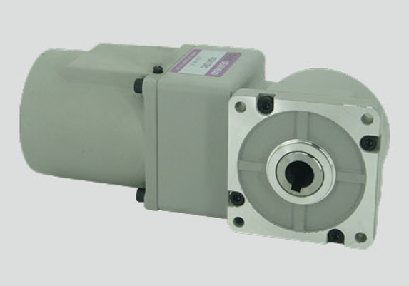 (R系列)感应电机25W直角微型减速电机